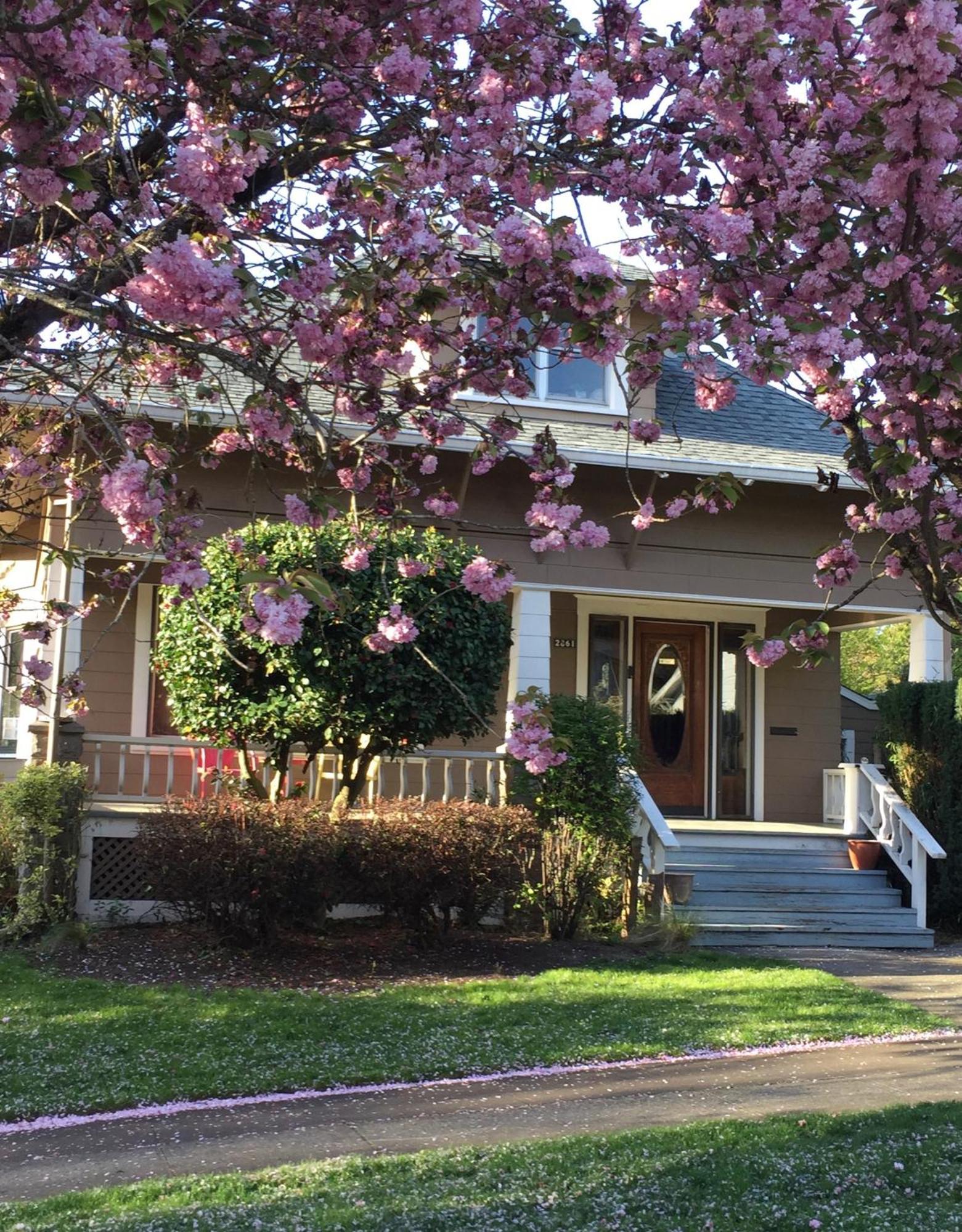 Southeast Portland Comfy & Eclectic Craftsman Home Екстериор снимка