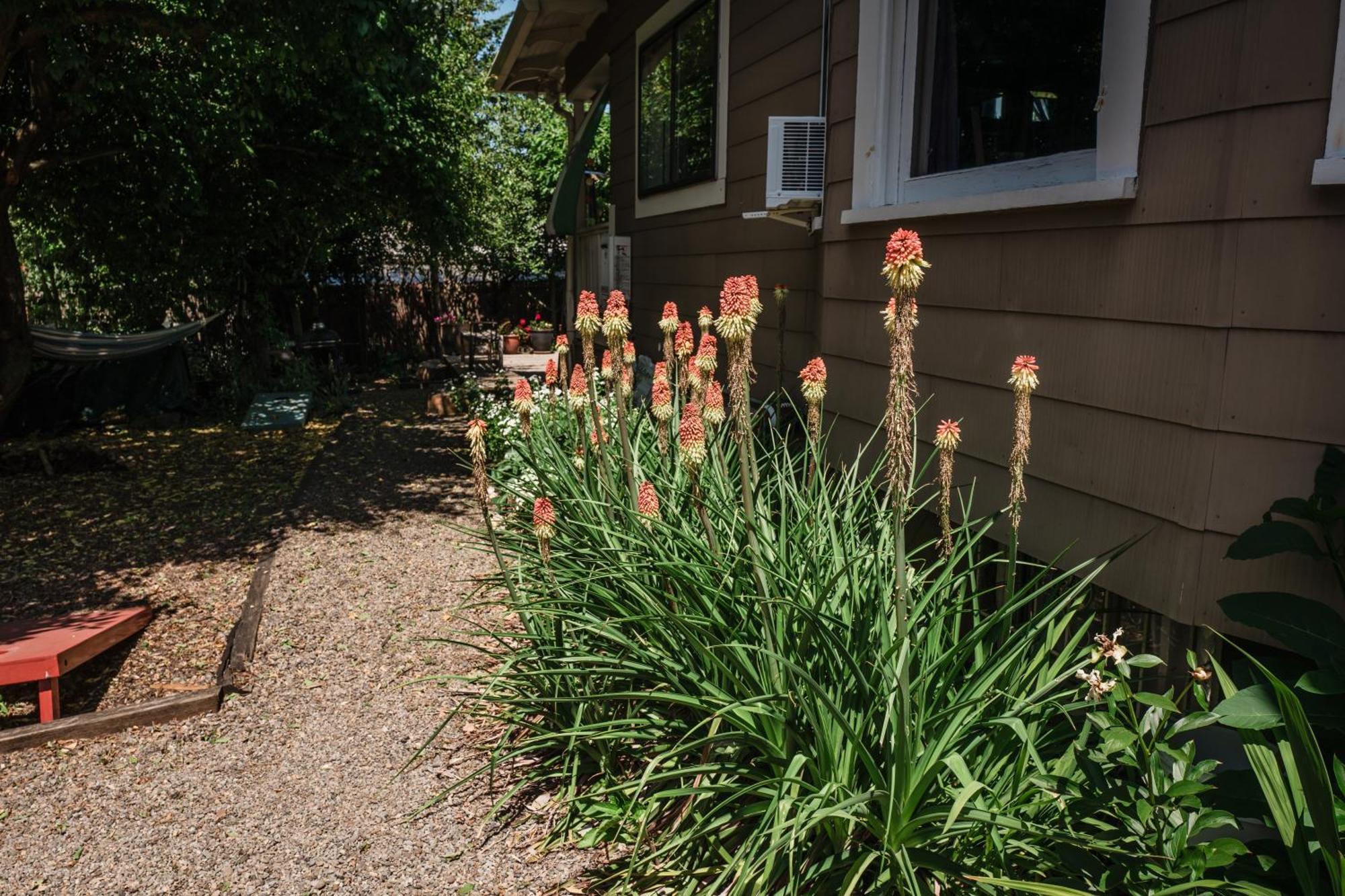Southeast Portland Comfy & Eclectic Craftsman Home Екстериор снимка